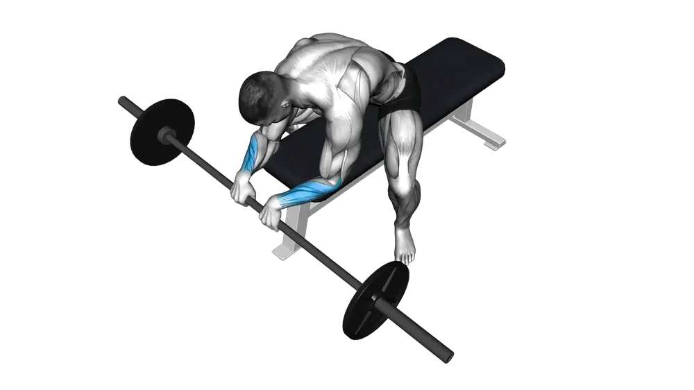 Reverse Wrist Curl