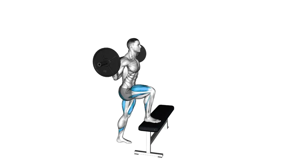 Barbell Step Up exercise demonstration