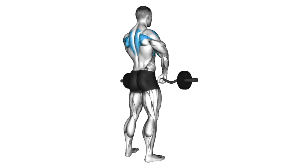 Barbell Upright Row exercise demonstration