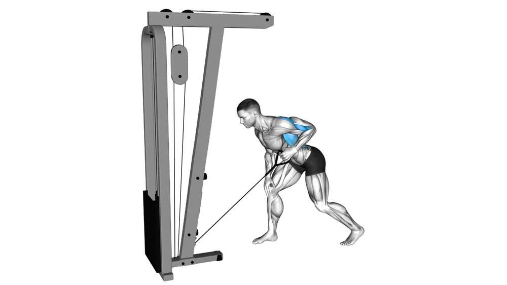 Single-Arm Cable Row exercise demonstration