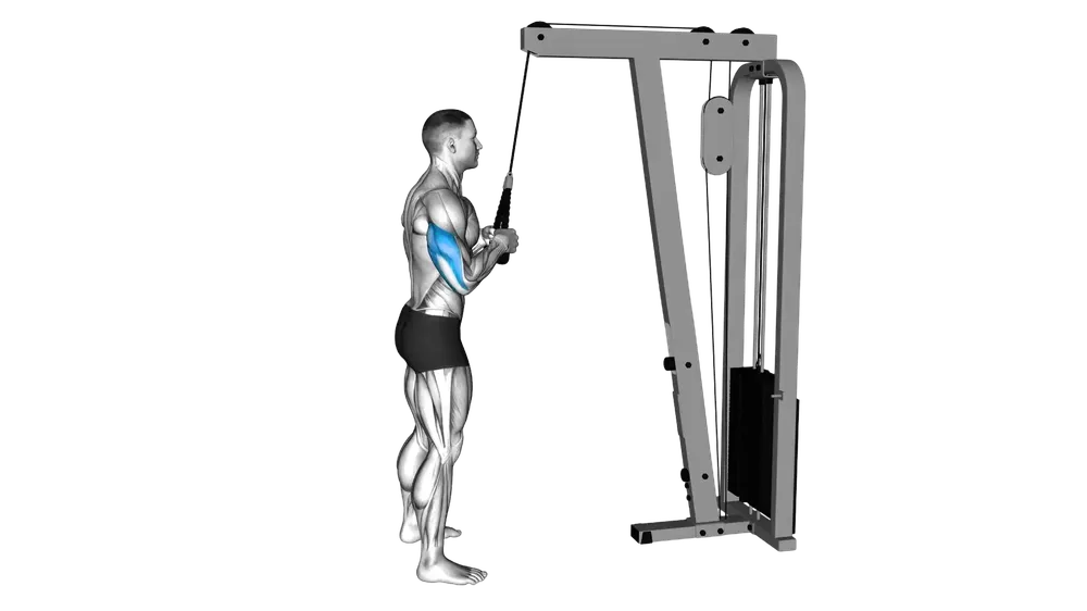 Rope Pushdown exercise demonstration