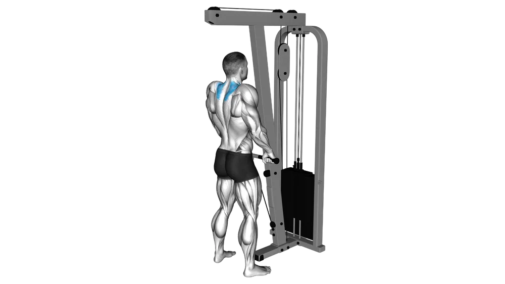 Cable Shrug exercise demonstration