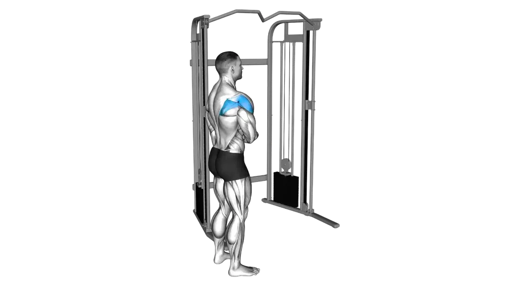 Cable External Rotation exercise demonstration