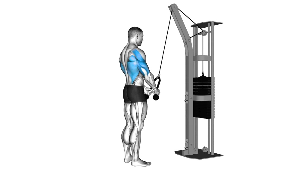 Rope Straight-Arm Pulldown