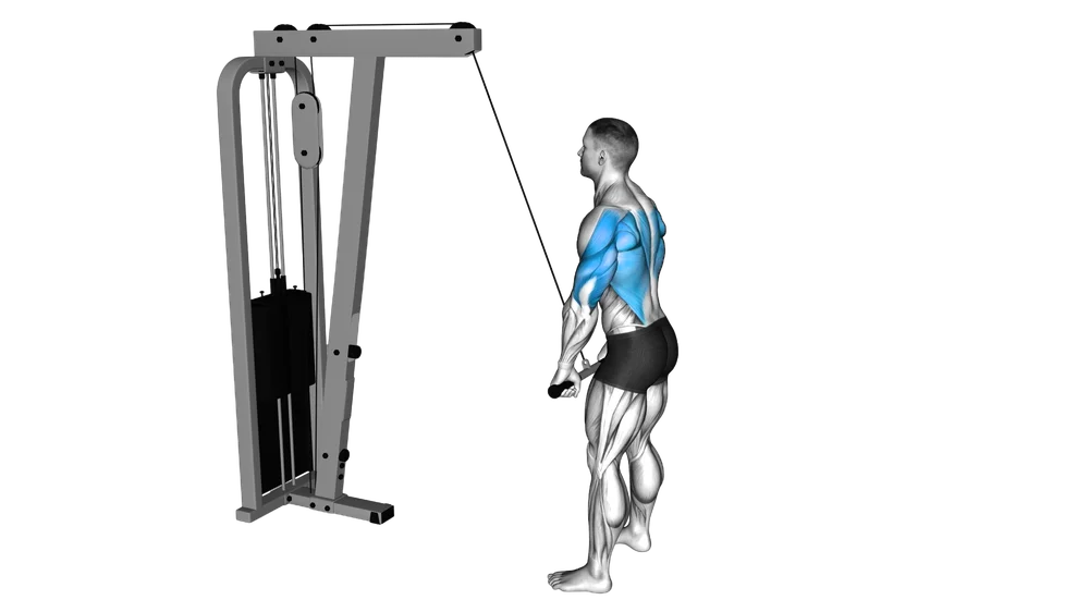 Straight-Arm Pulldown exercise demonstration