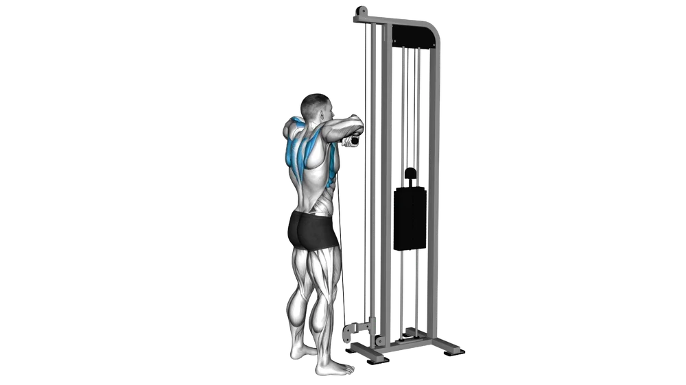 Upright Row (Cable)