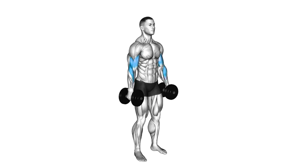 Alternating Dumbbell Curl