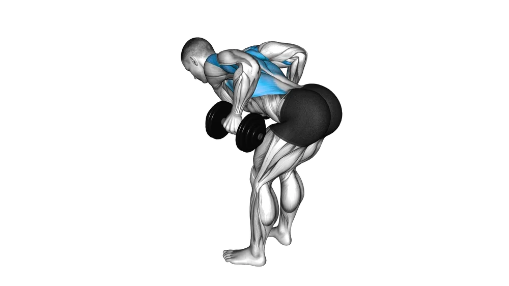 Bent Over Row (Dumbbell)