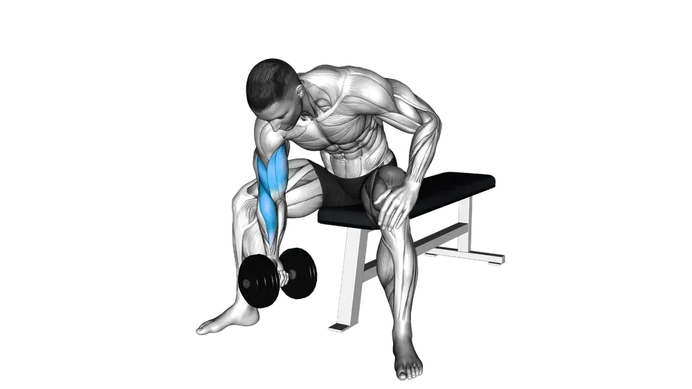 Concentration Curl exercise demonstration