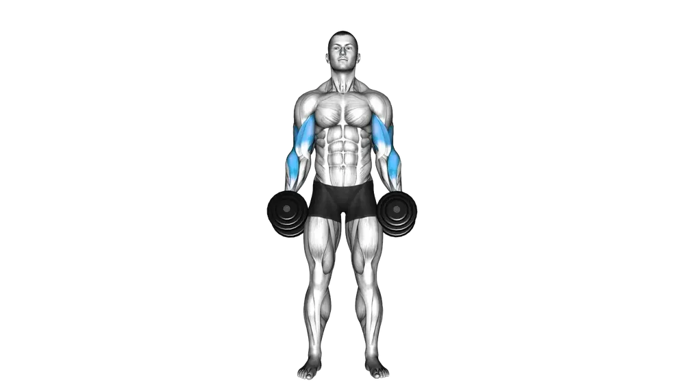 Cross-Body Hammer Curl