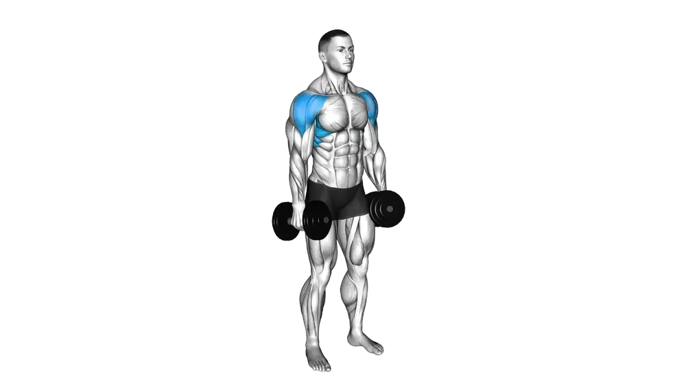 Dumbbell Lateral Raise