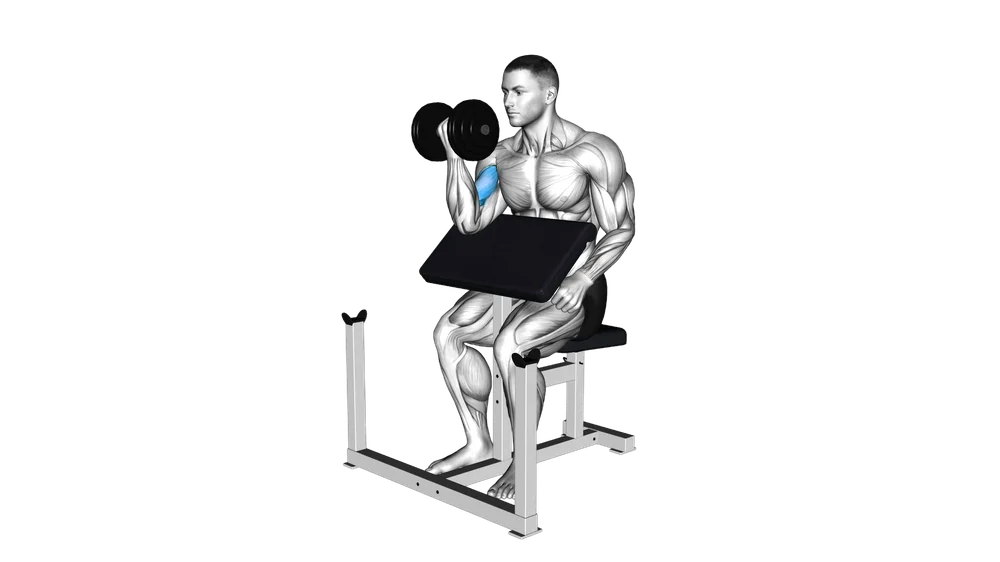 Preacher Curl (Dumbbell)