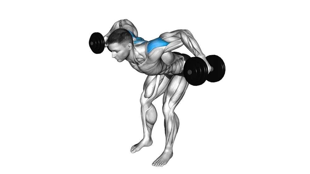 Rear Delt Reverse Fly (Dumbbell)