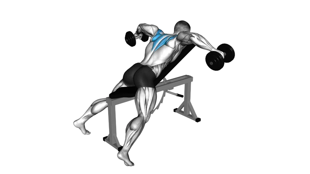 Chest-Supported Reverse Fly exercise demonstration