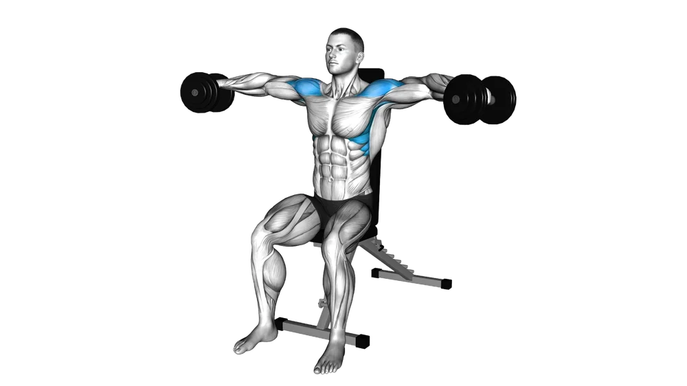 Seated Lateral Raise (Dumbbell)
