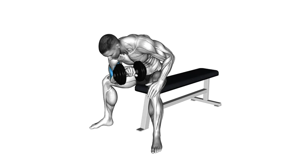 Reverse-Grip Concentration Curl