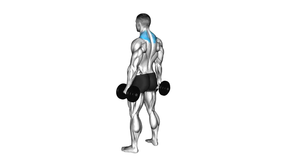 Dumbbell Shrugs