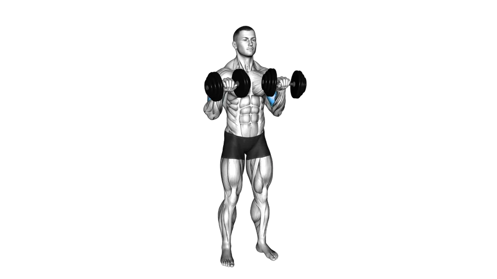 Reverse Curl (Dumbbell)
