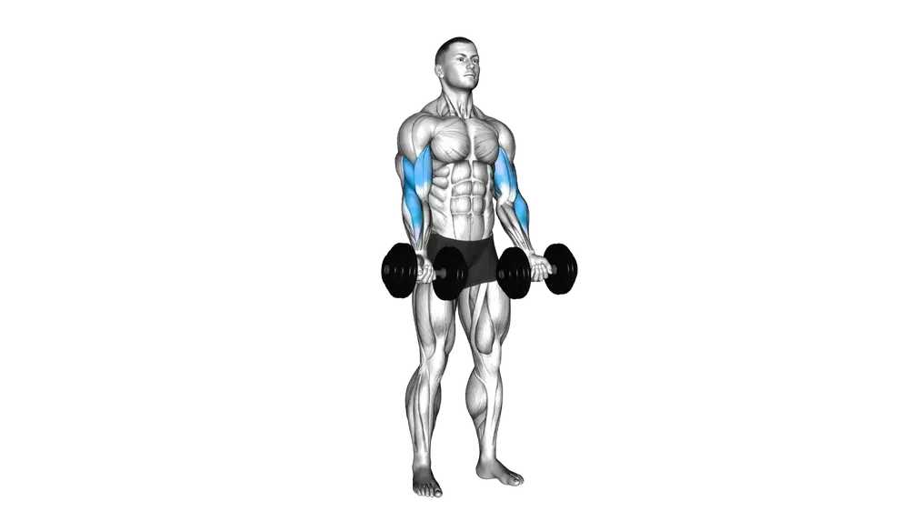 Zottman Curl exercise demonstration