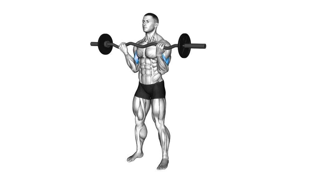 EZ Bar Bicep Curl