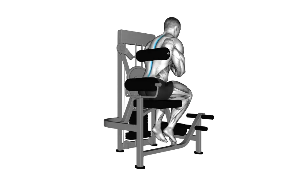 Back Extension Machine exercise demonstration