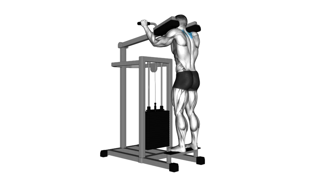 Machine Shrug exercise demonstration