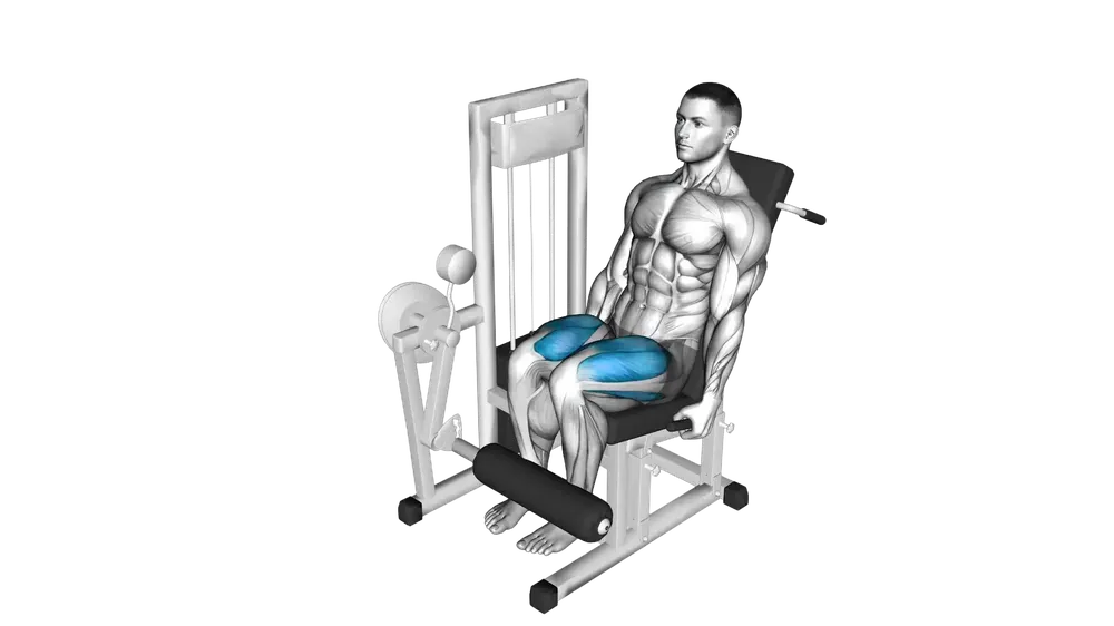 Leg Extension