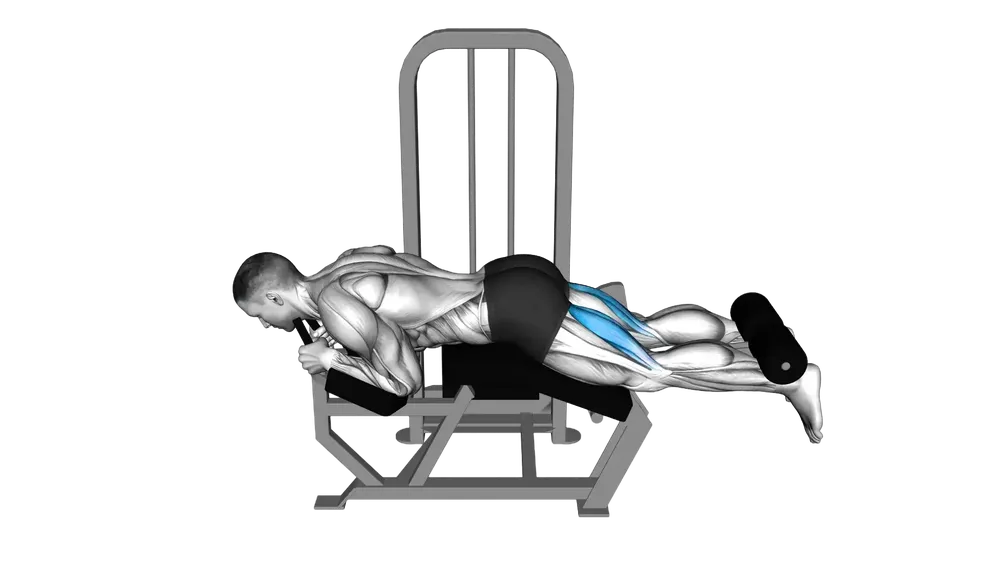 Lying Leg Curl
