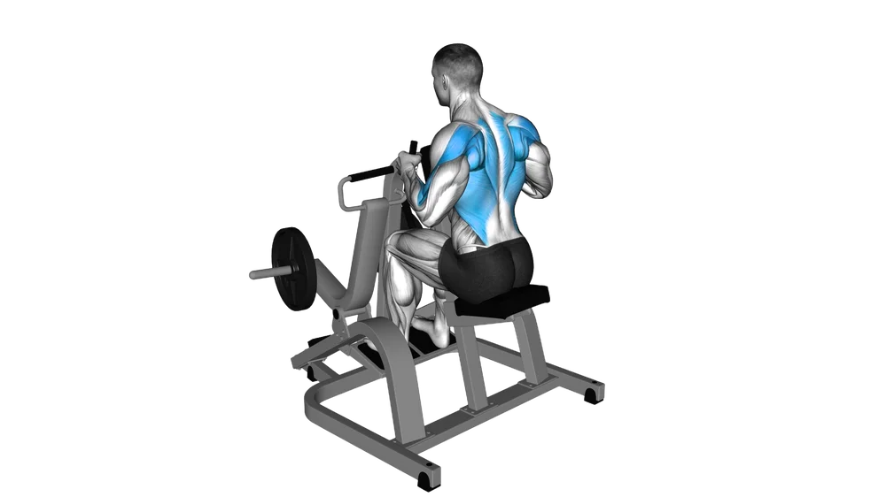 Iso-Lateral Row