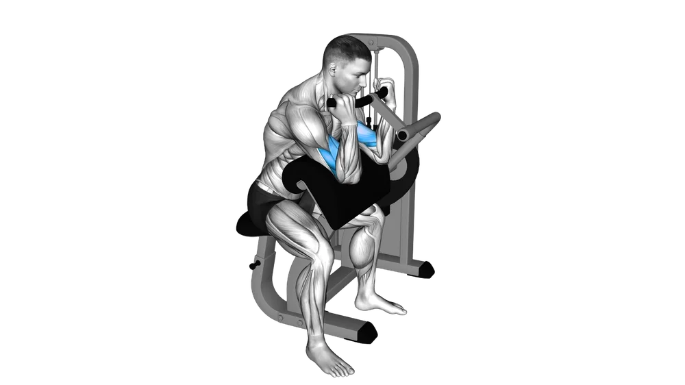 Preacher Curl (Machine) exercise demonstration