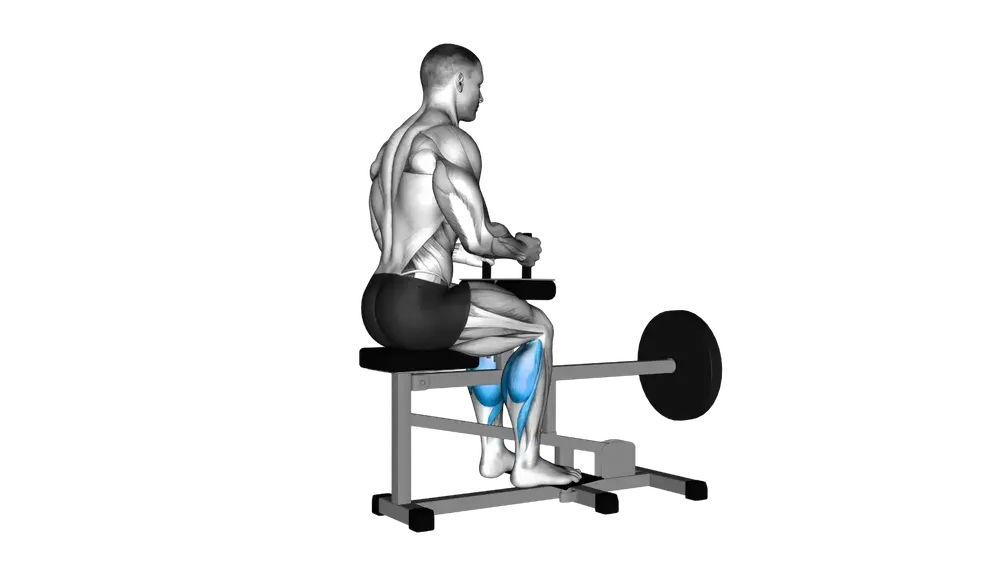 Seated Calf Raise