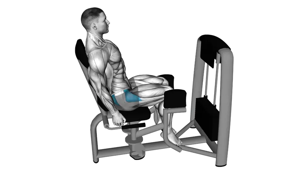Hip Abductor Machine