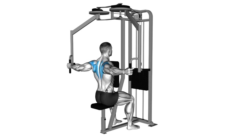 Rear Delt Reverse Fly (Machine)