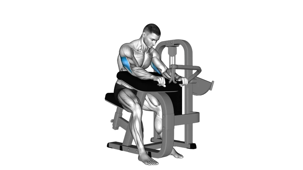 Machine Tricep Extension