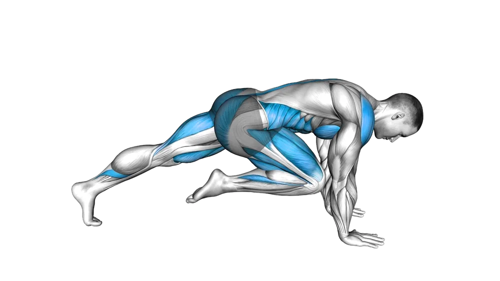 Climbing exercise demonstration