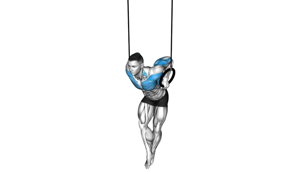 Ring Dip exercise demonstration
