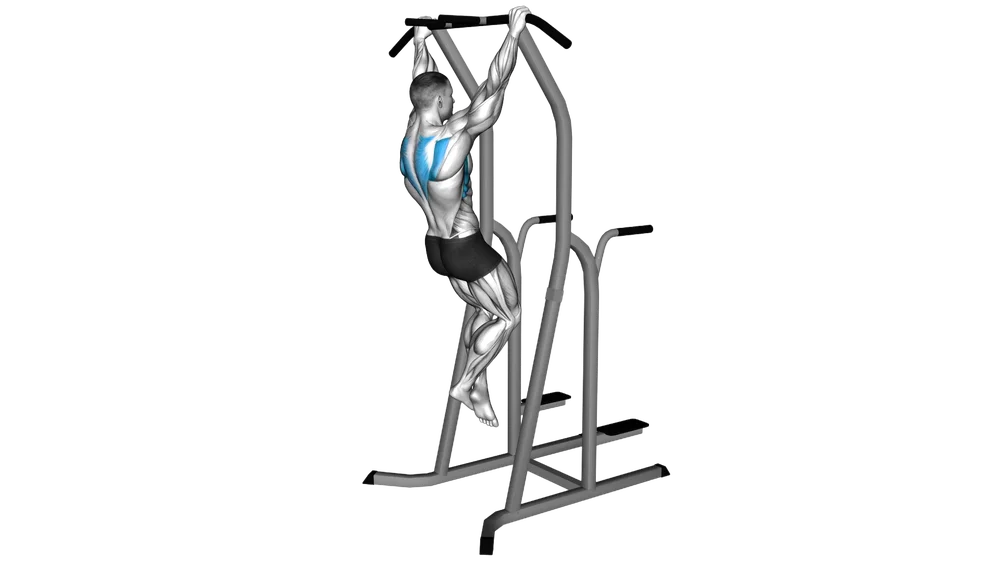 Scapular Pull-Up