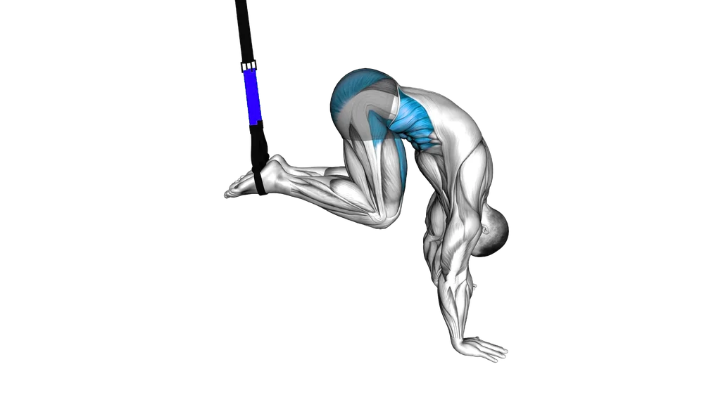 Jack Knife (Suspension)