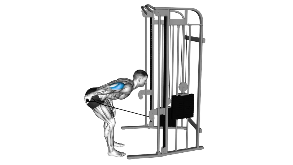 Cable Tricep Kickback exercise demonstration