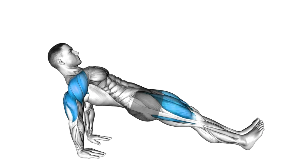 Reverse Plank
