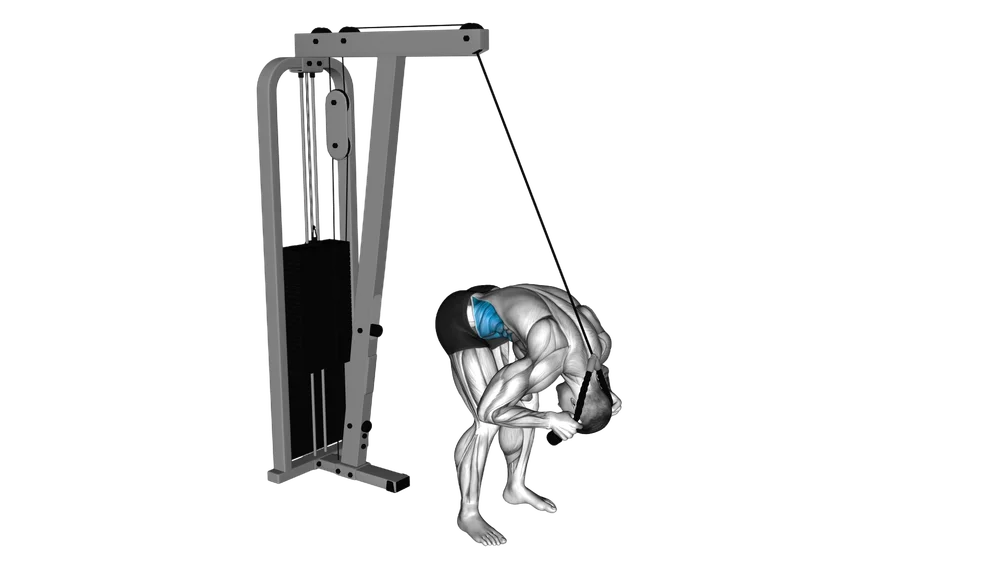 Cable Crunch exercise demonstration