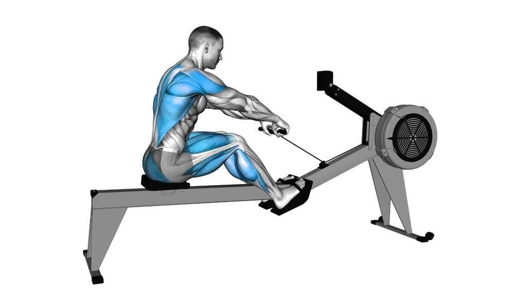 Rowing Machine