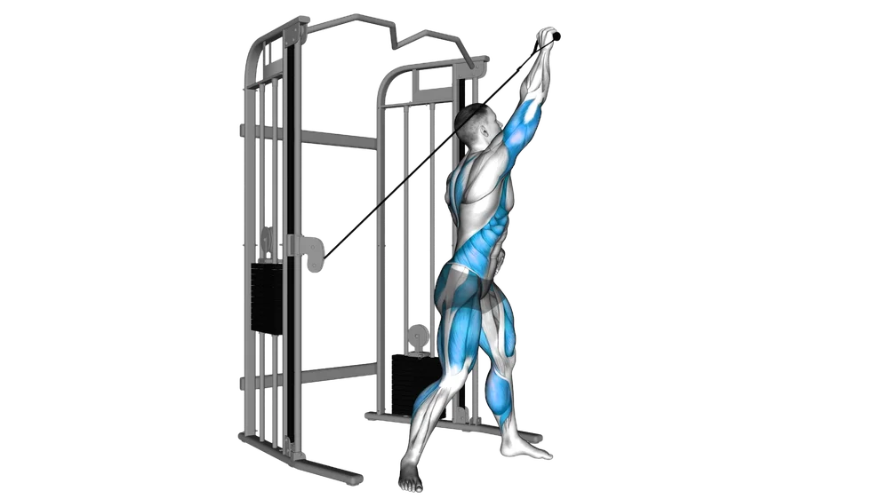 Cable Twist (Down to up)