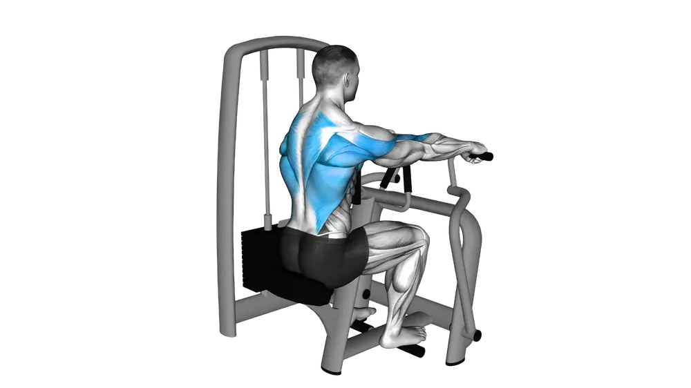 Hammerstrength Row