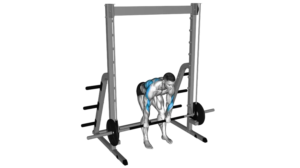 Smith Machine Row