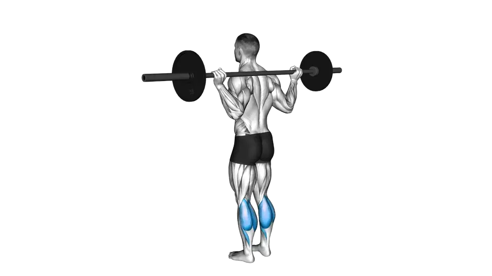 Barbell Calf Raise