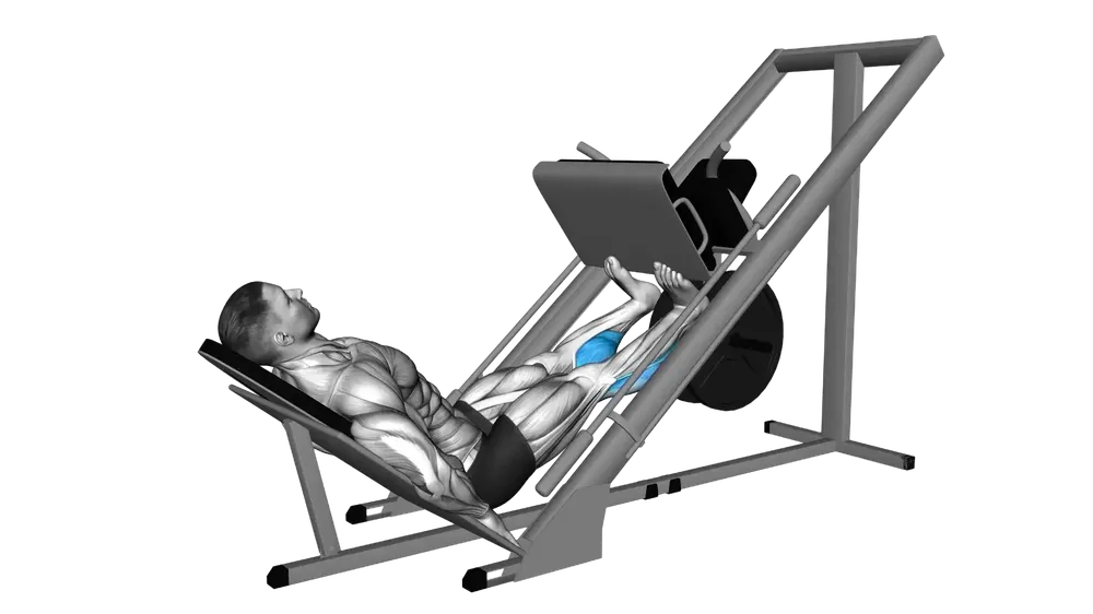 Calf Press exercise demonstration