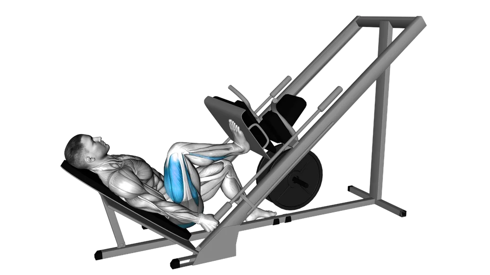 Single-Leg Press