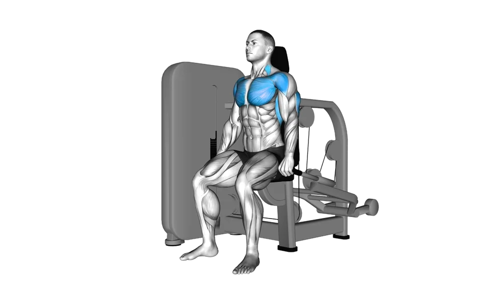 Seated Dip Machine