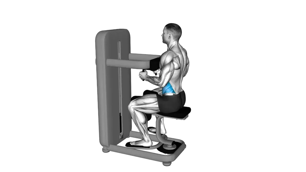Rotary Torso Machine